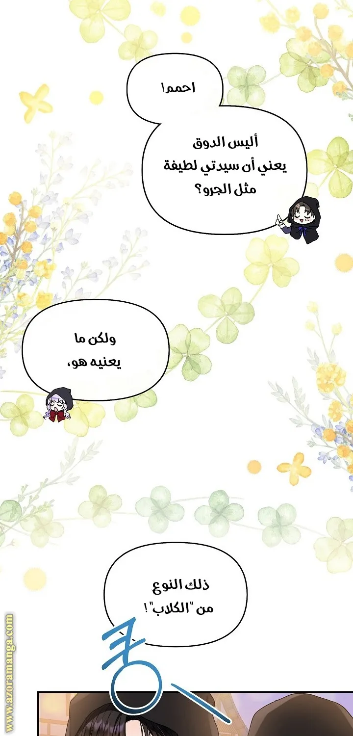 الصفحة 21
