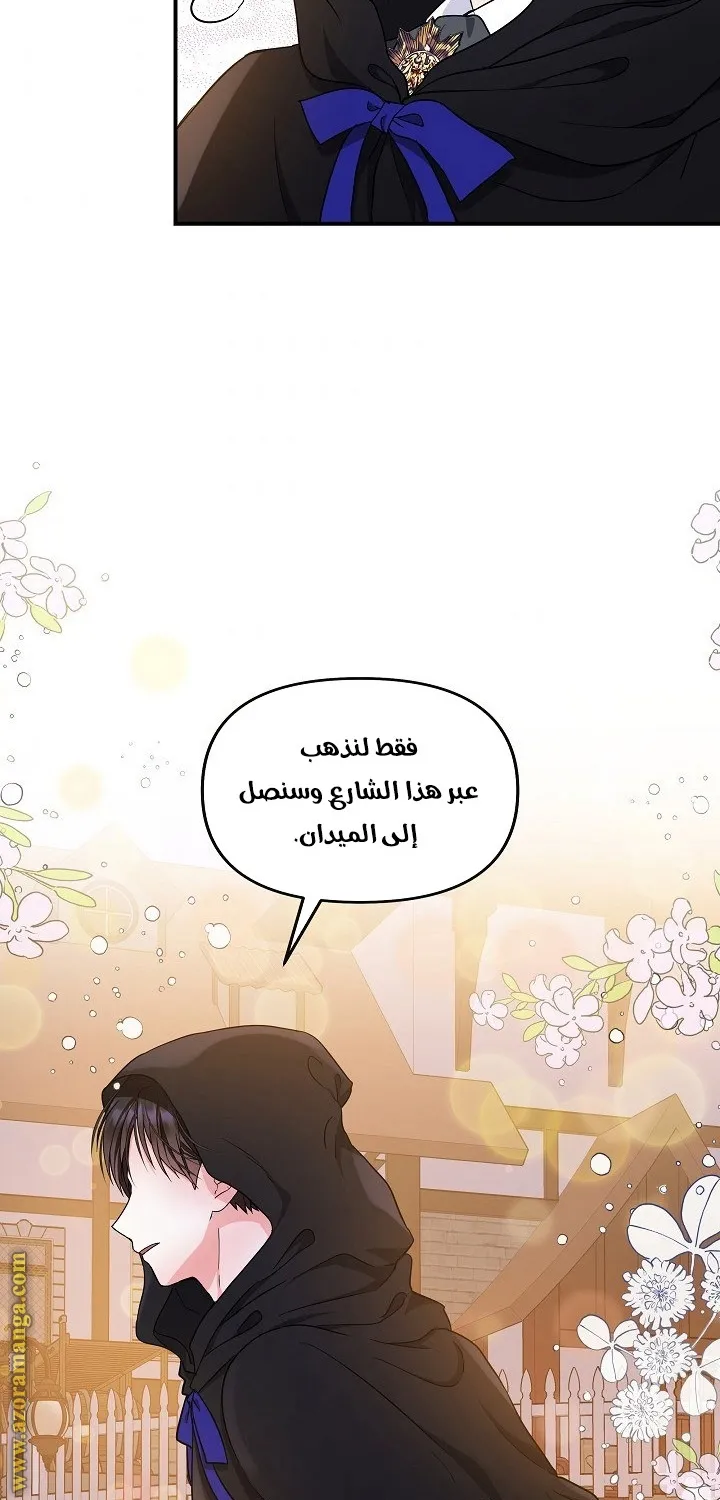 الصفحة 26