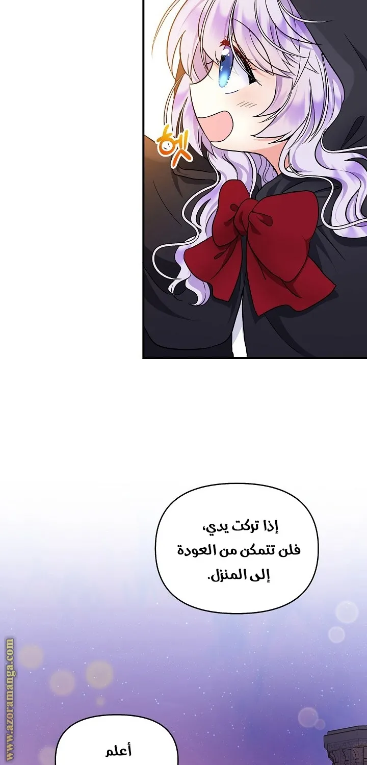 الصفحة 28