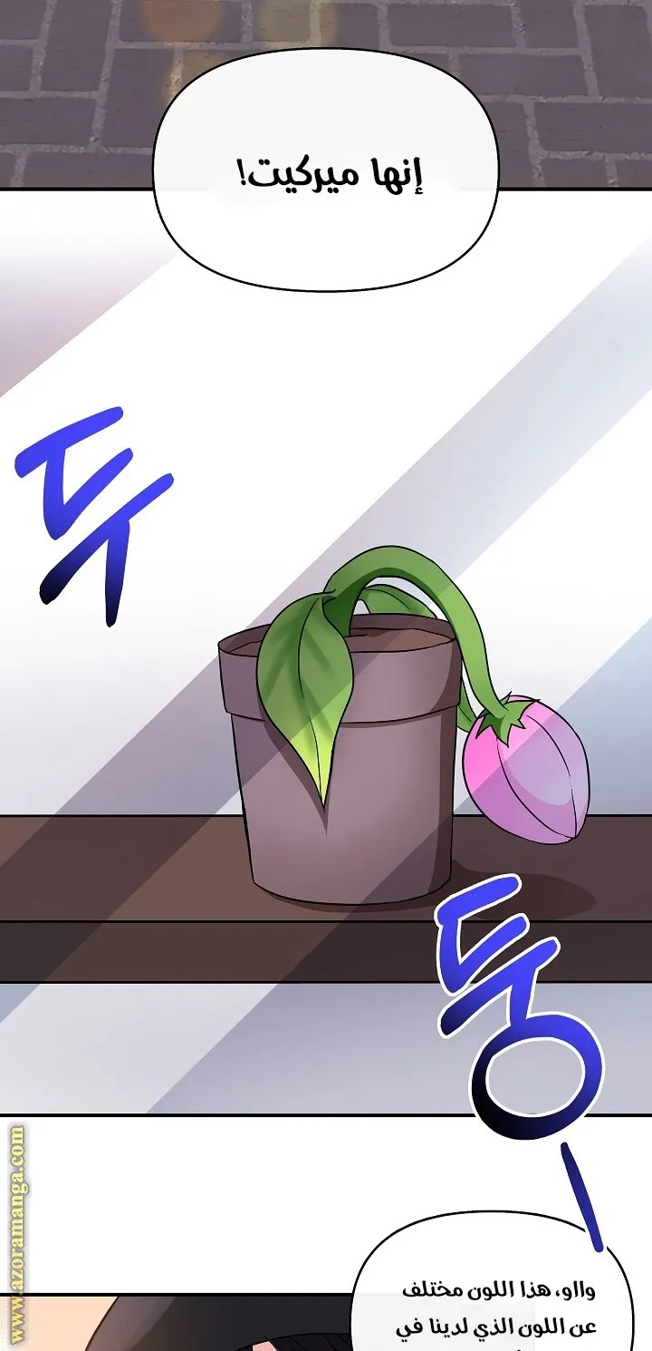 الصفحة 36