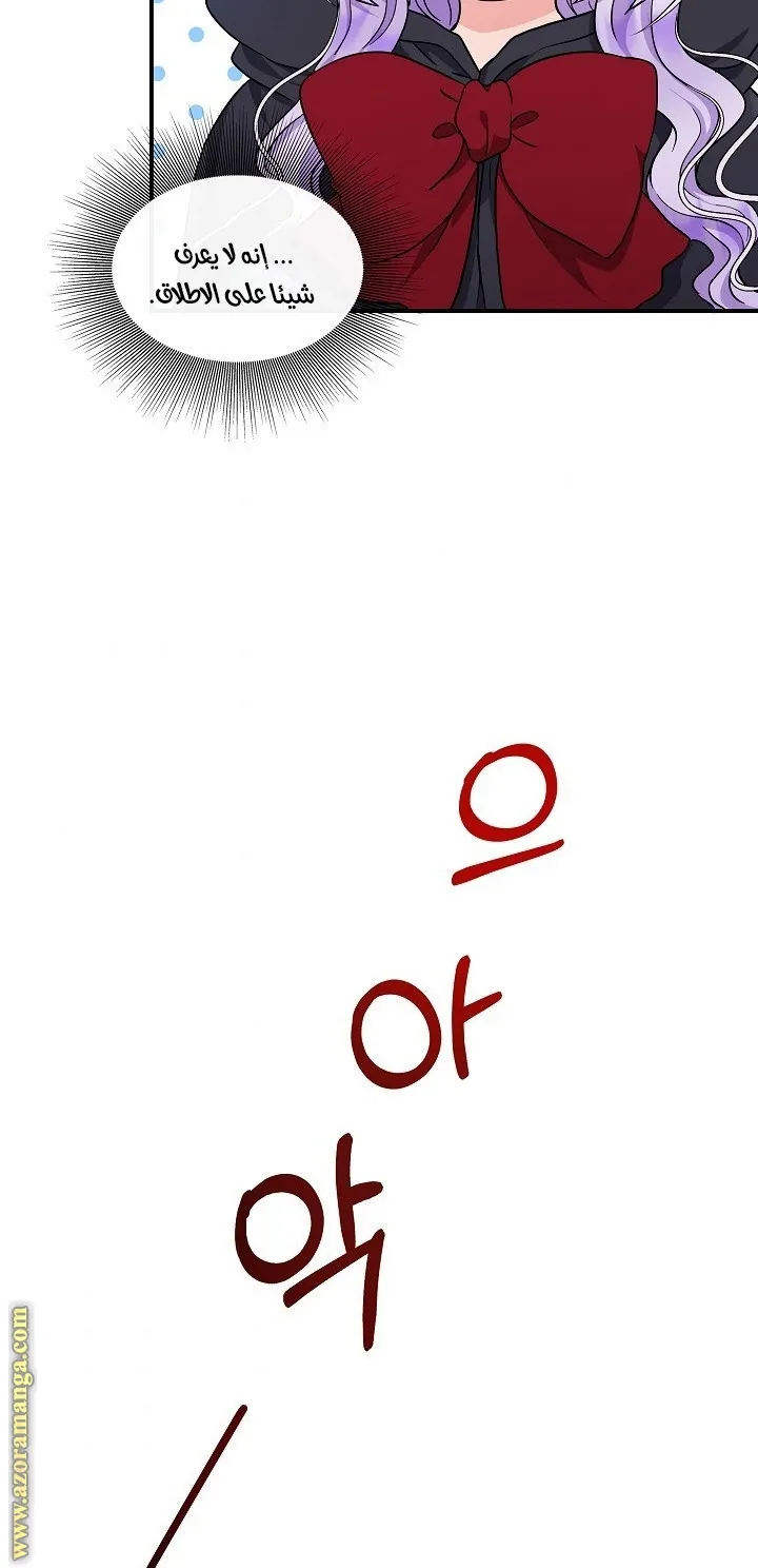 الصفحة 48