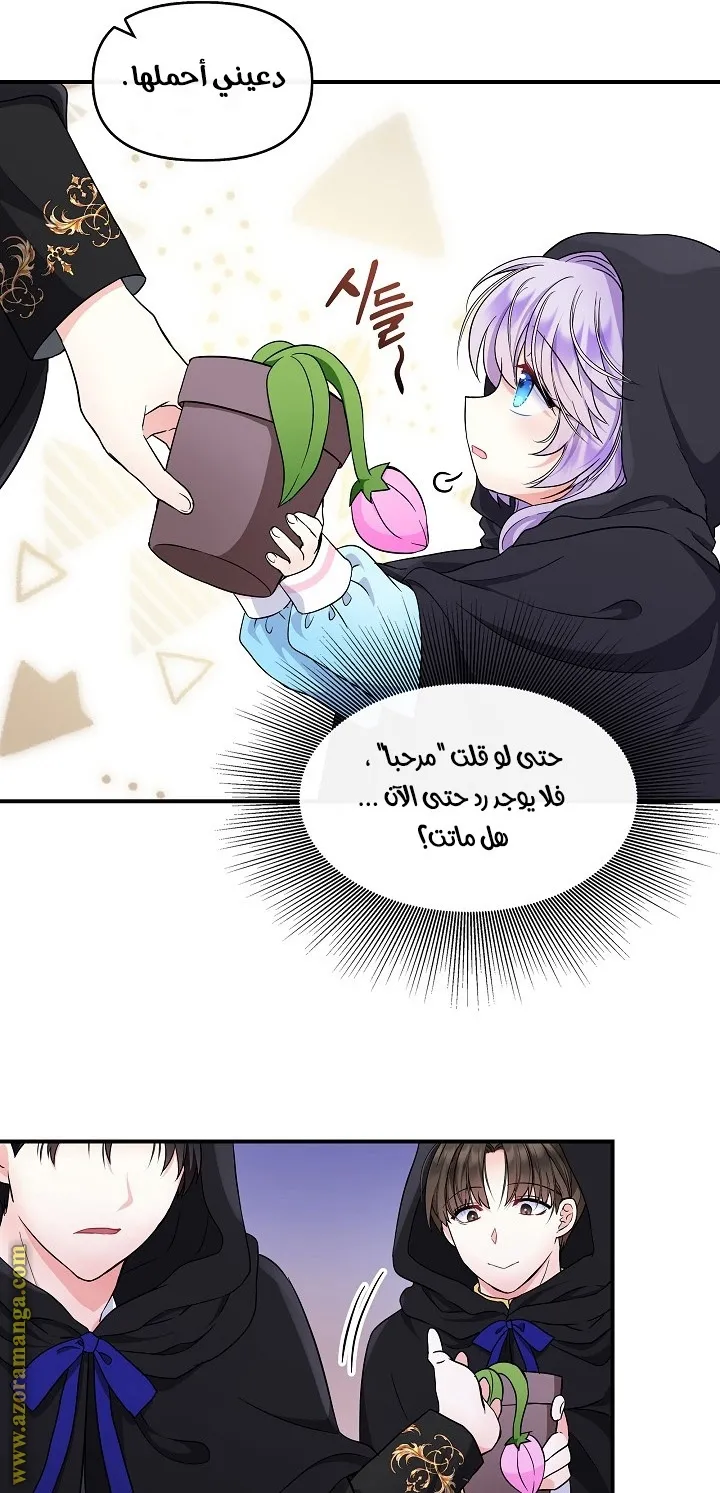 الصفحة 51