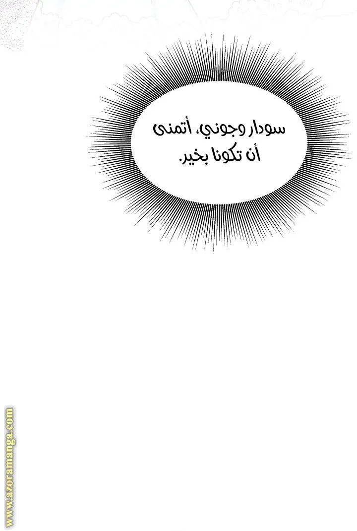 الصفحة 38