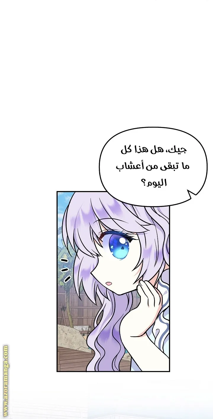 الصفحة 43