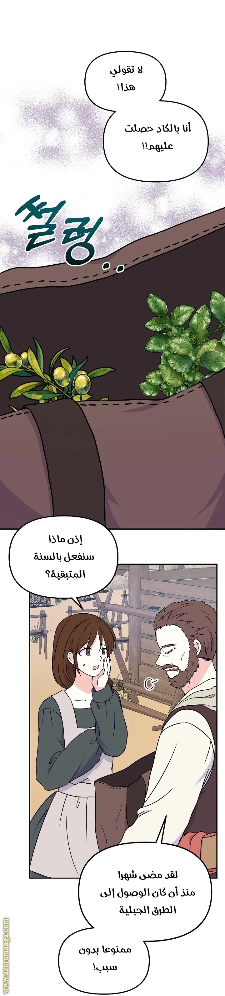 الصفحة 45