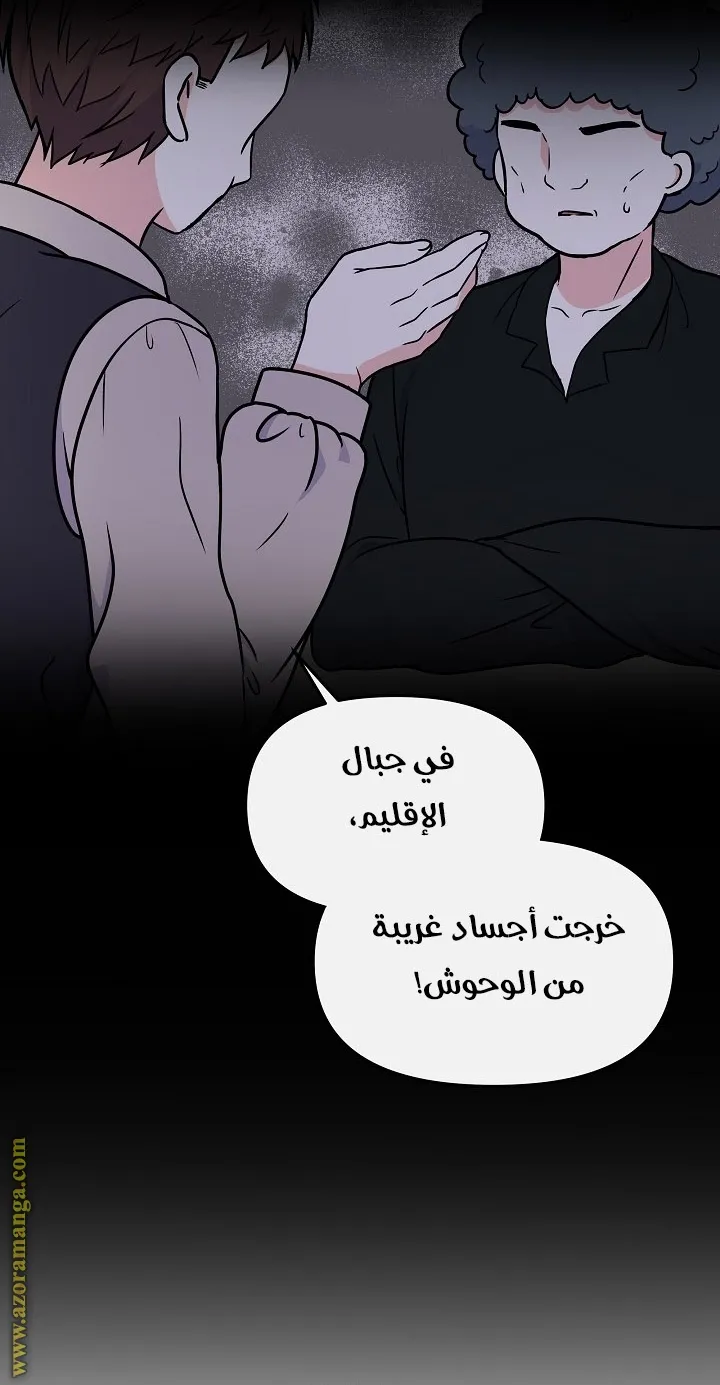 الصفحة 48