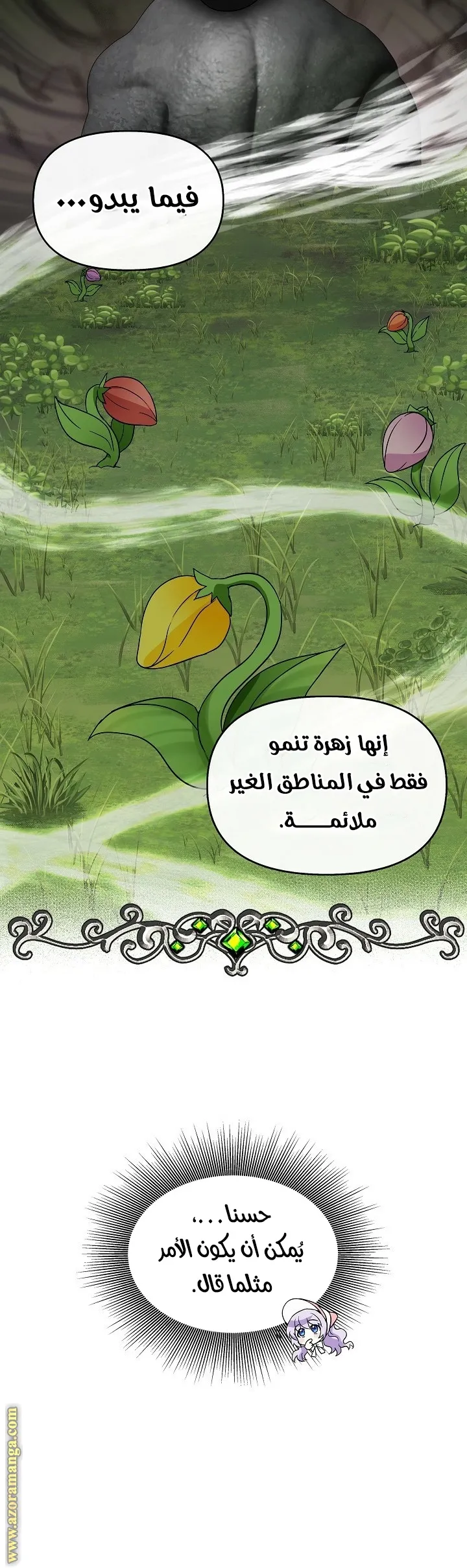 الصفحة 14