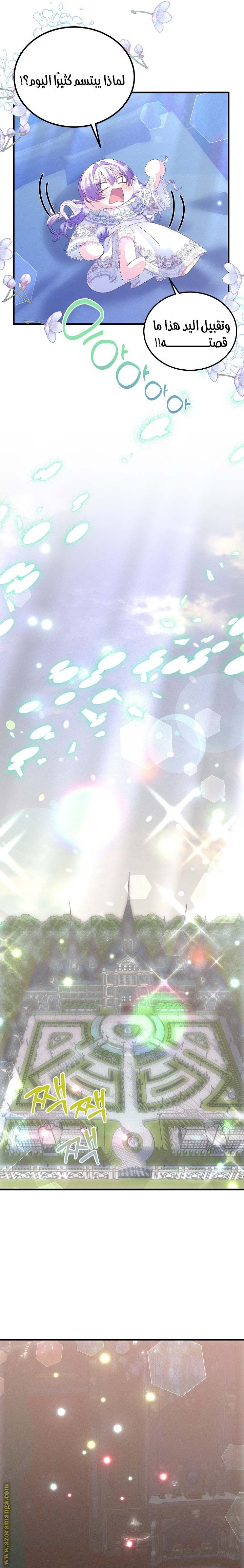 الصفحة 16