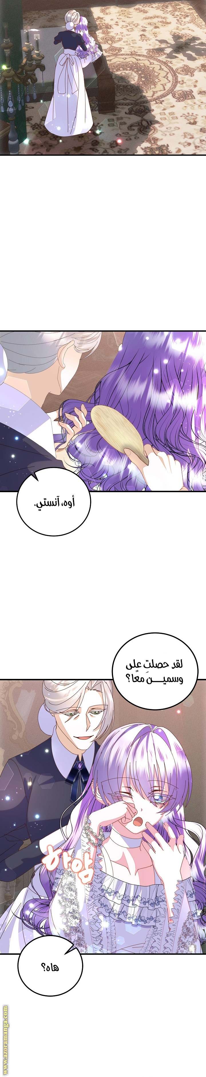 الصفحة 17