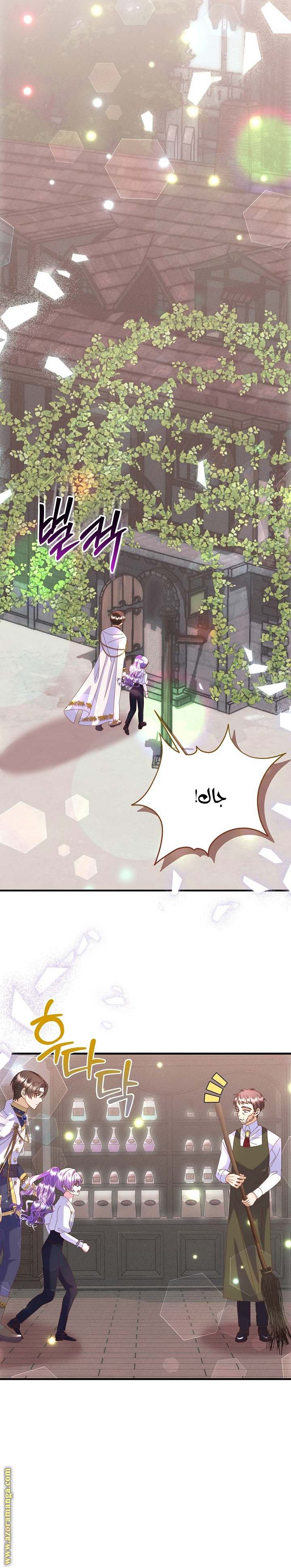 الصفحة 26