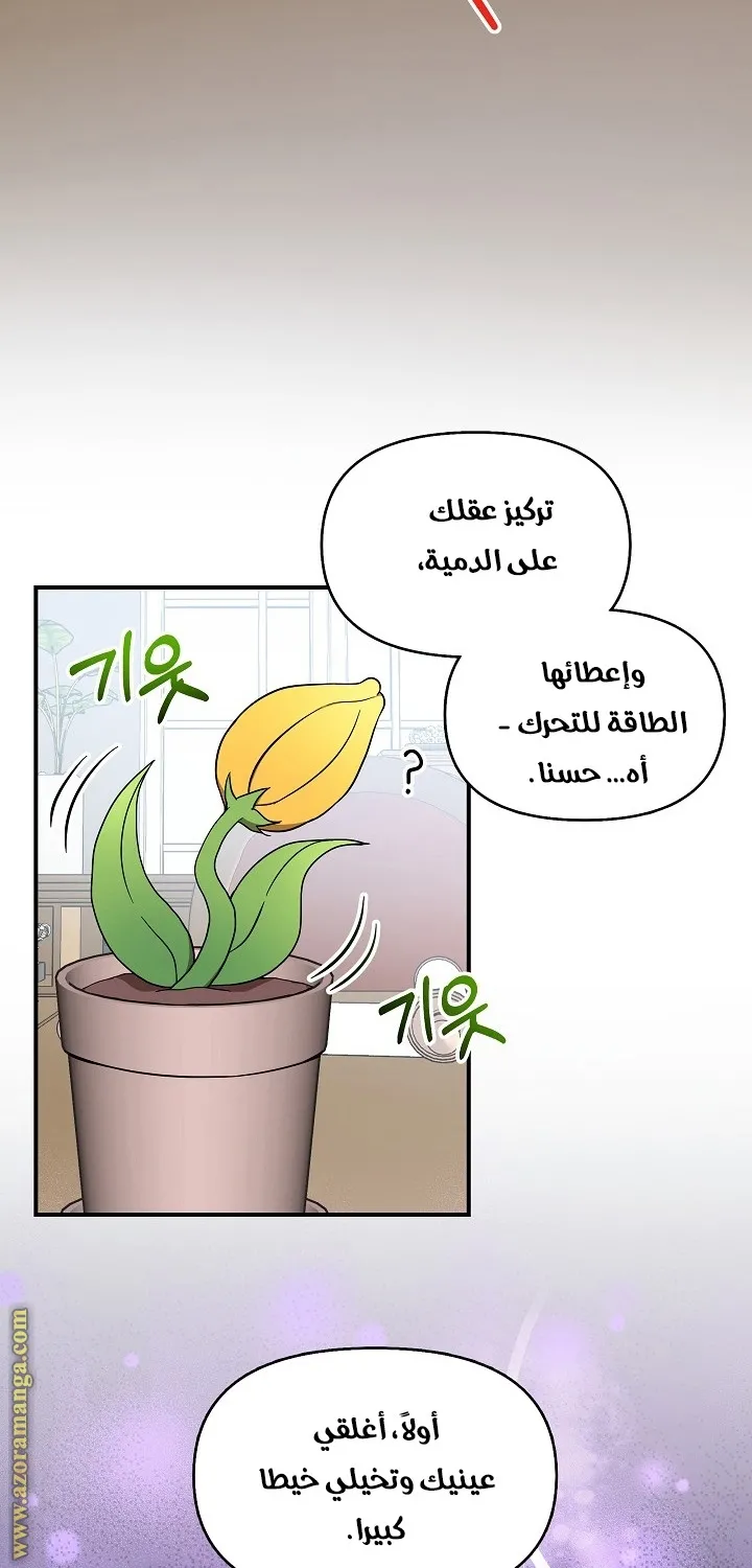 الصفحة 52