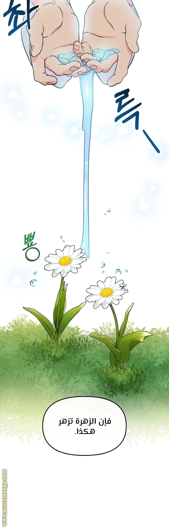 الصفحة 29