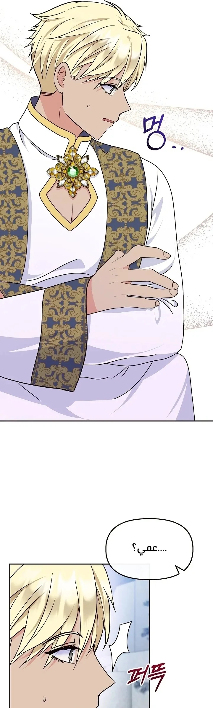الصفحة 33