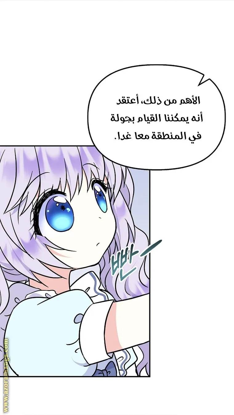 الصفحة 25