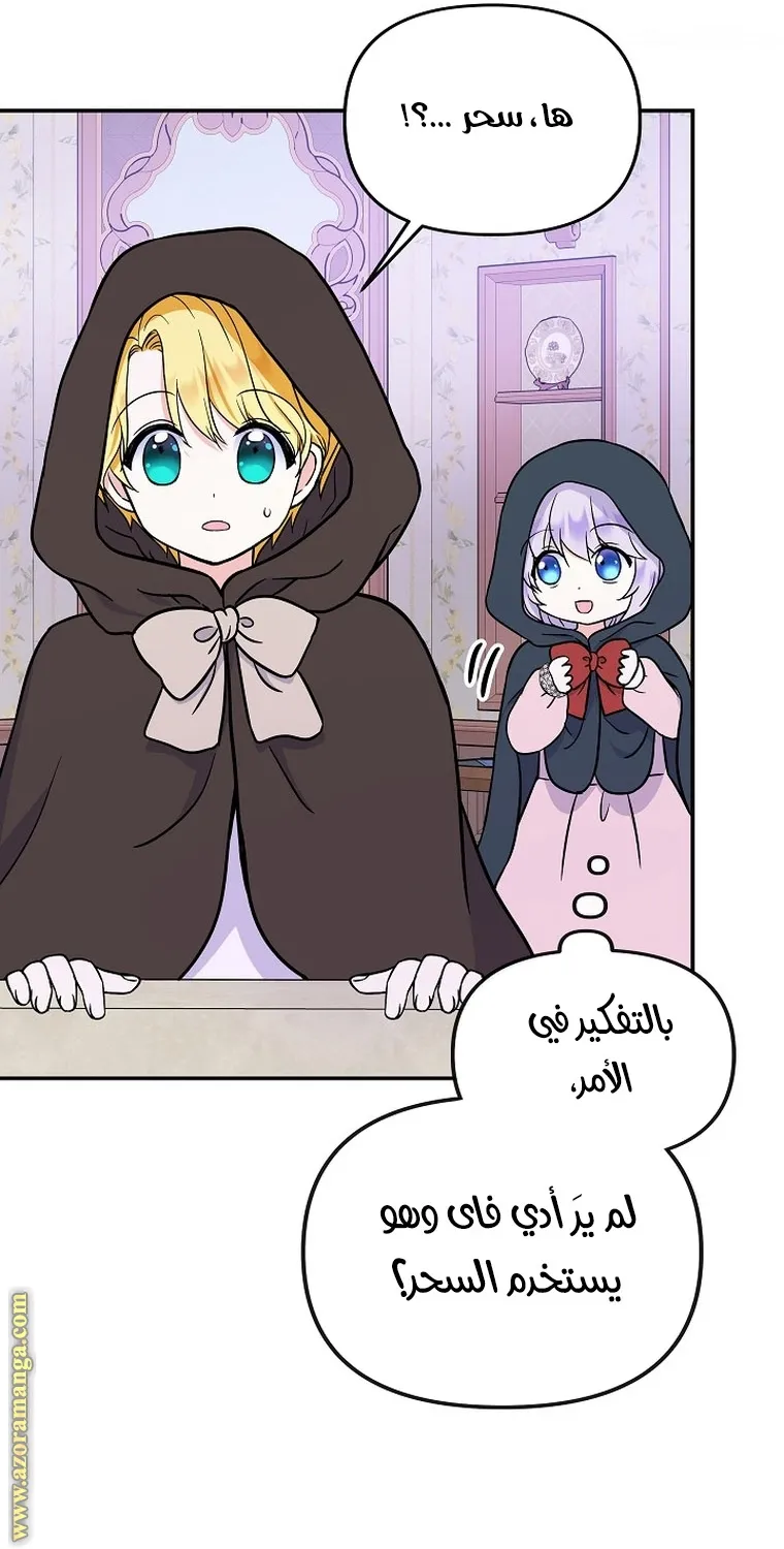 الصفحة 43