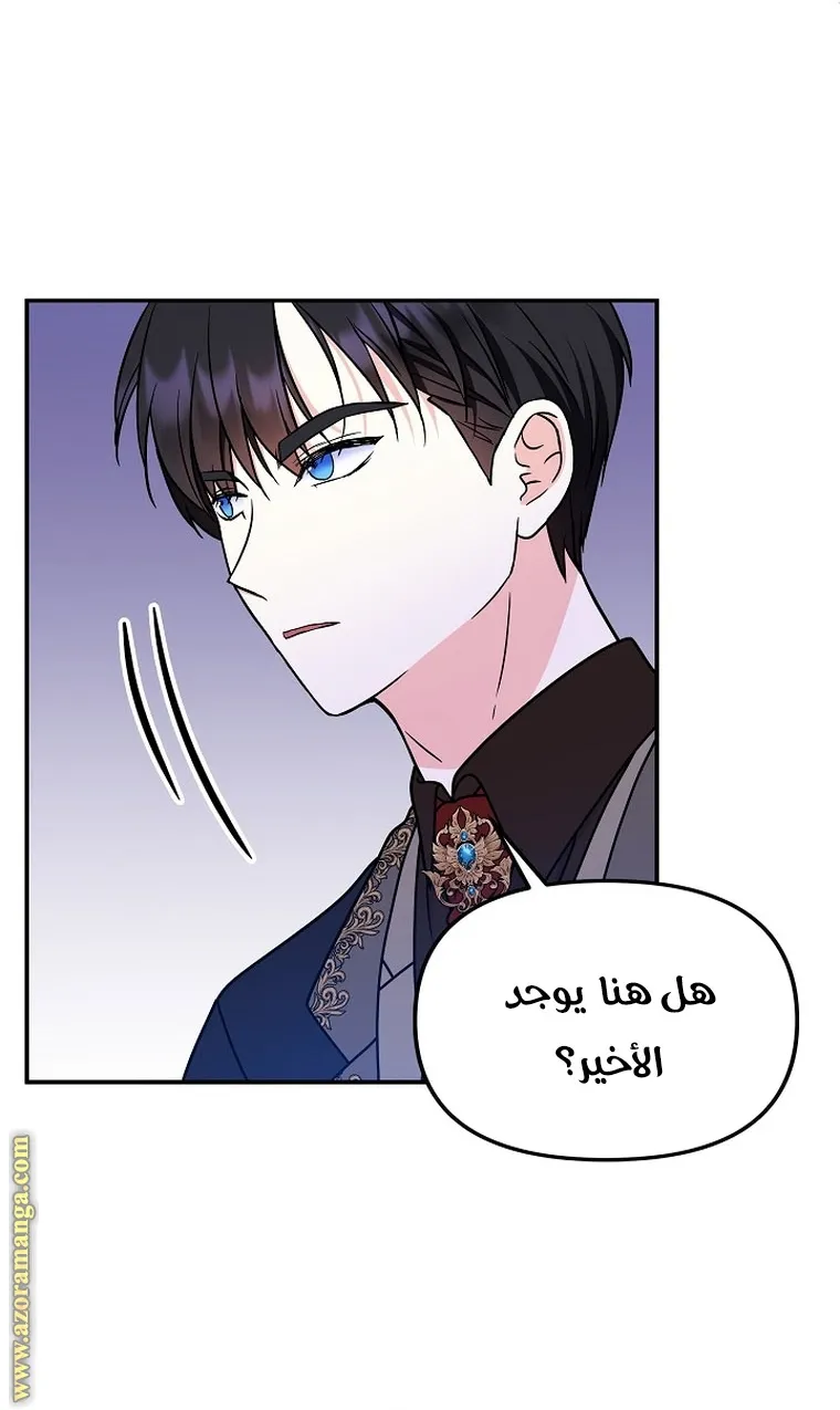 الصفحة 48