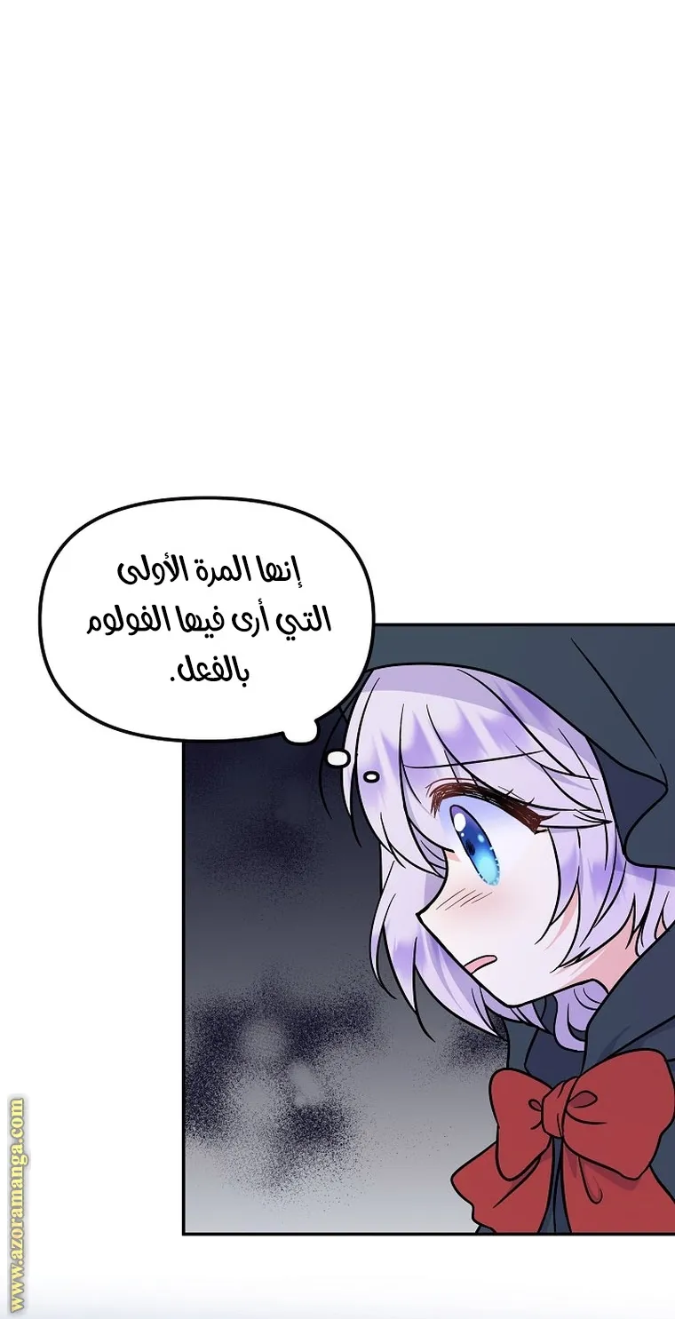 الصفحة 54