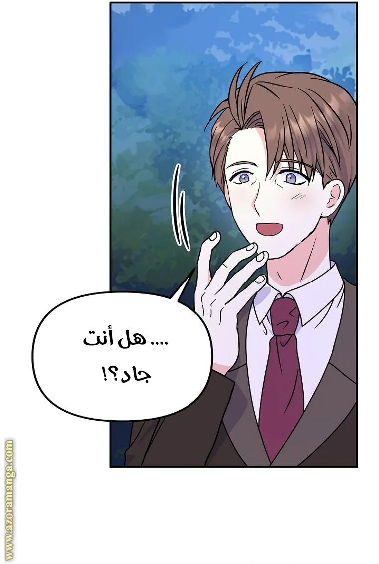 الصفحة 60