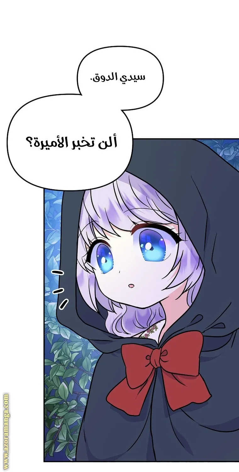 الصفحة 63