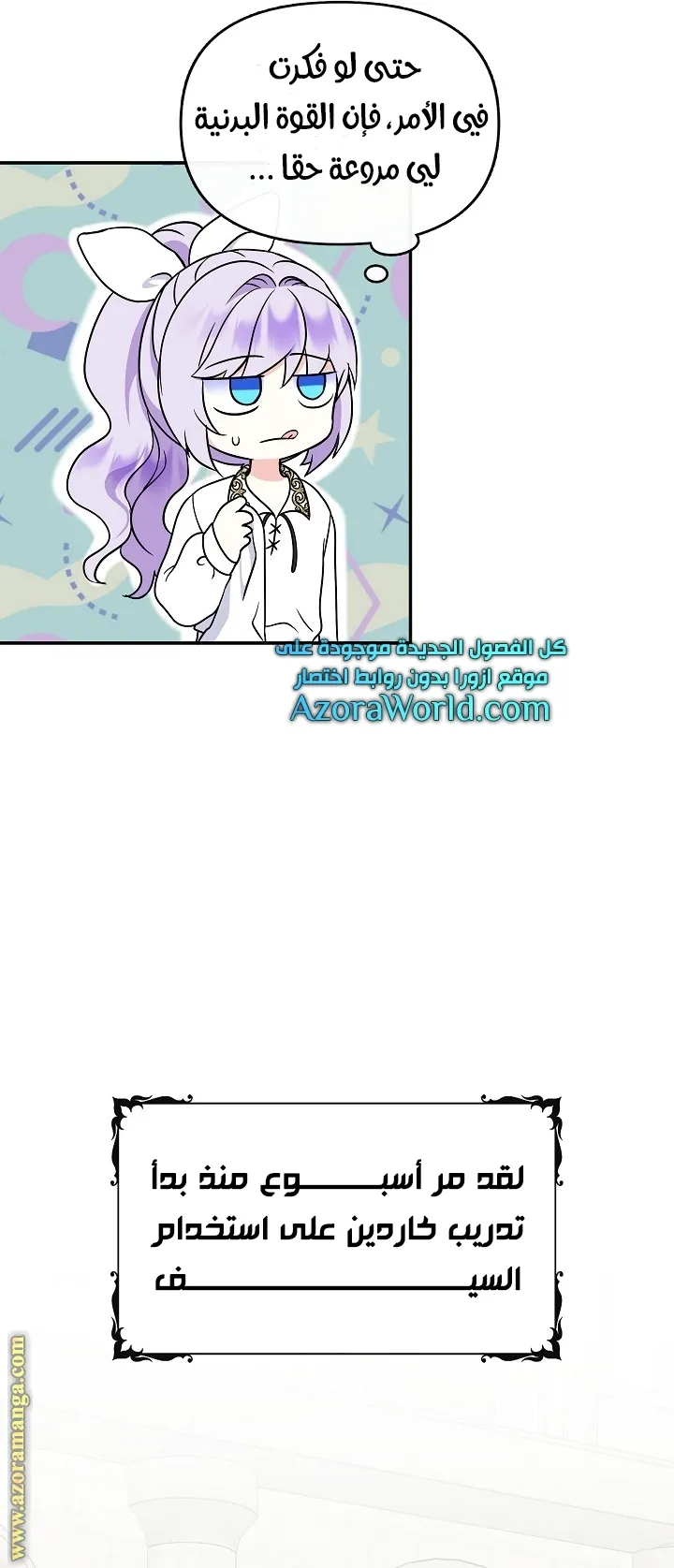 الصفحة 13