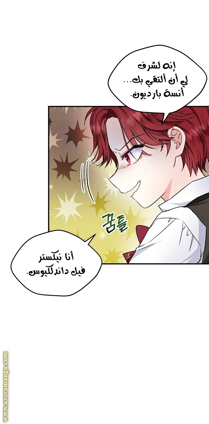 الصفحة 20