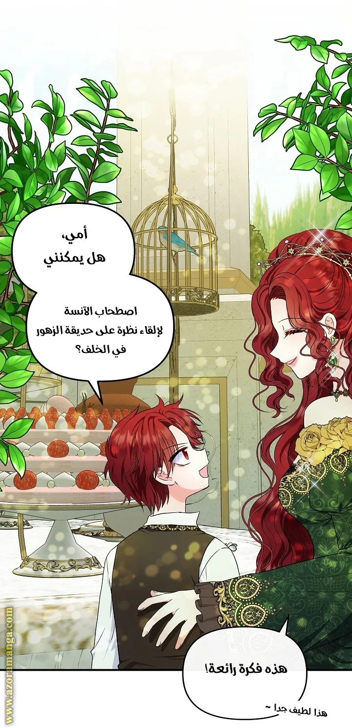 الصفحة 24
