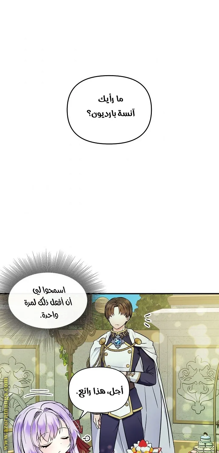 الصفحة 25