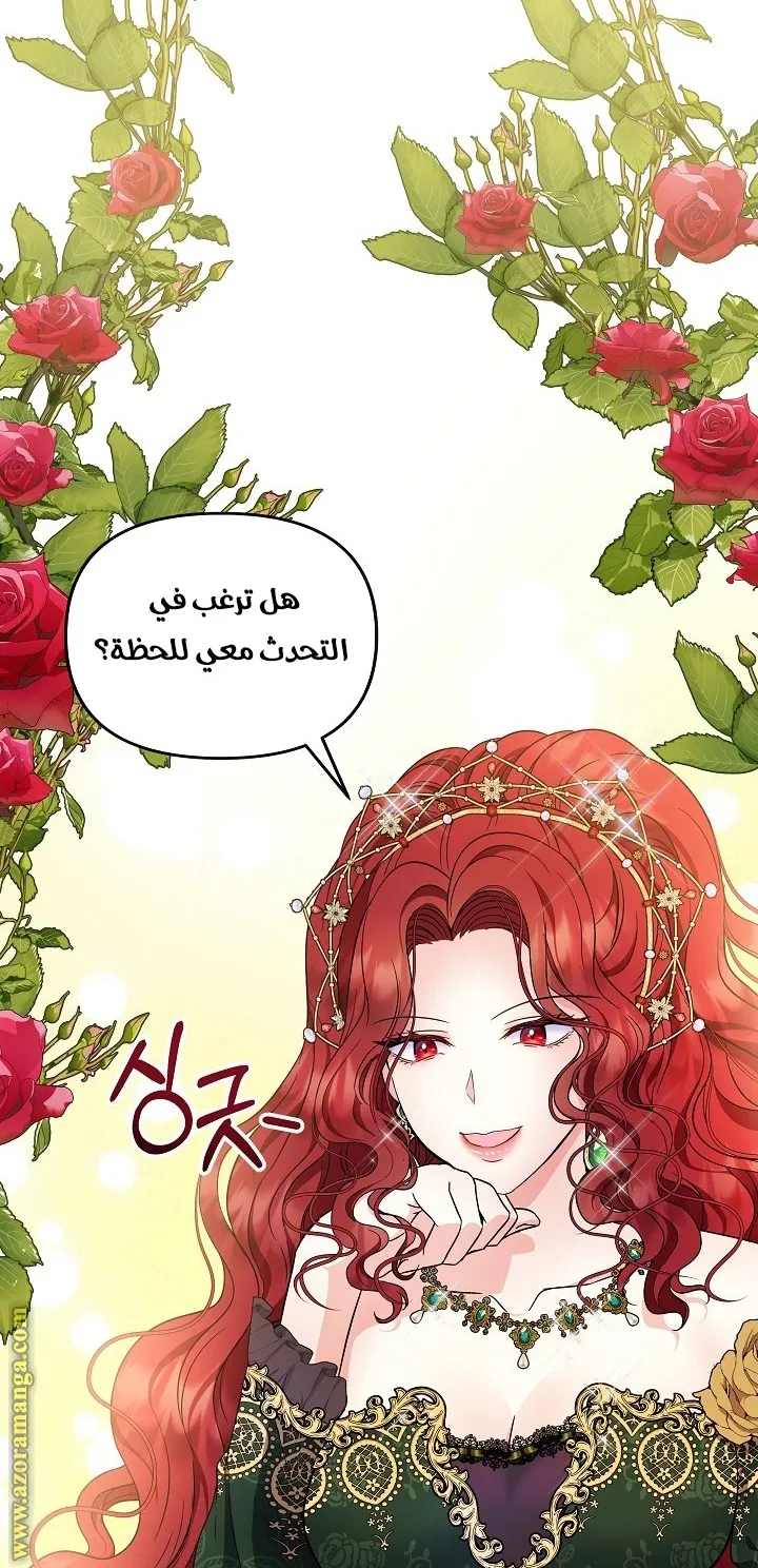الصفحة 27