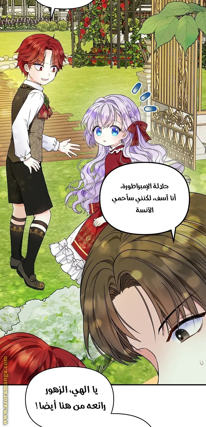 الصفحة 29