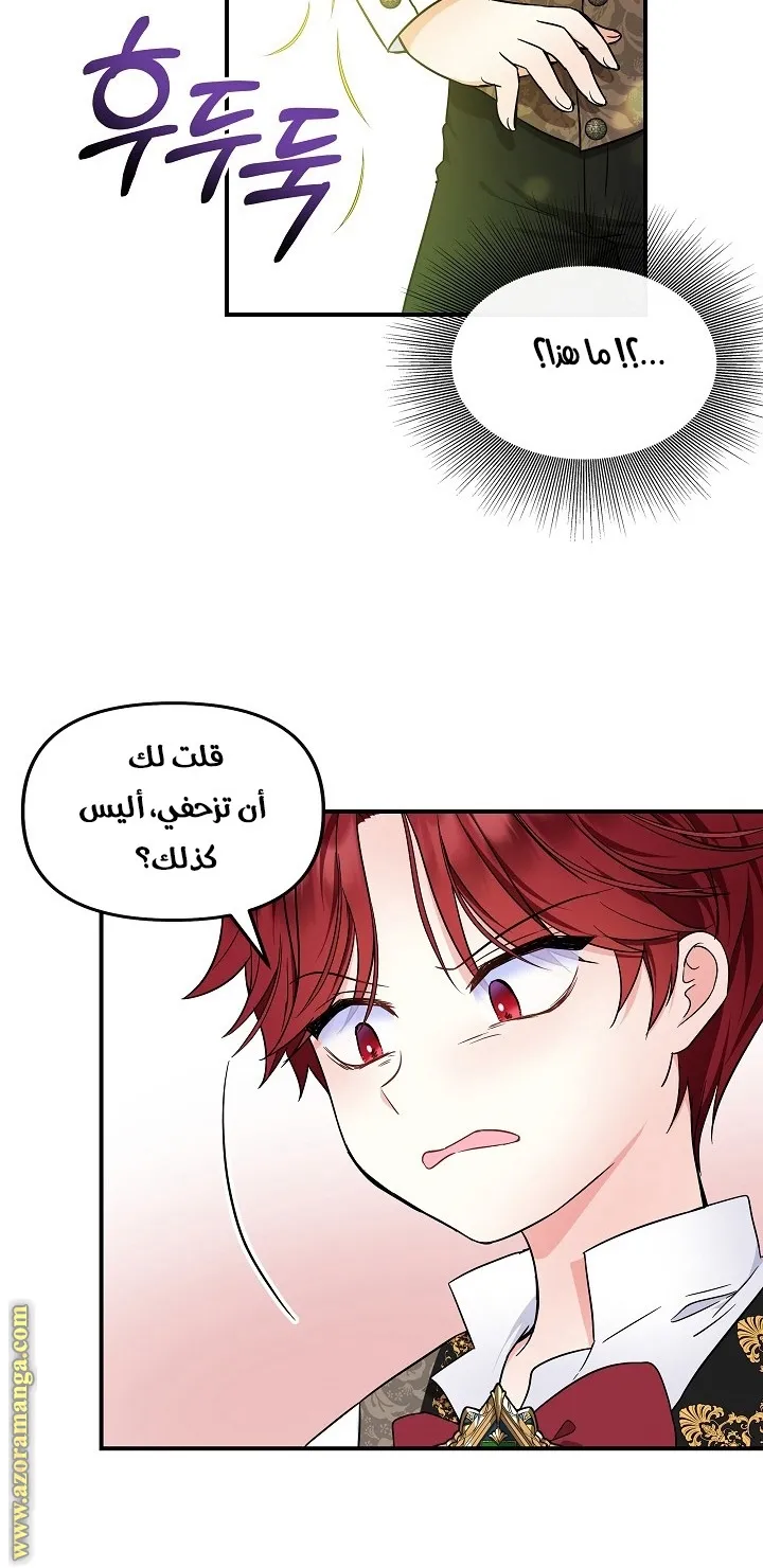 الصفحة 43