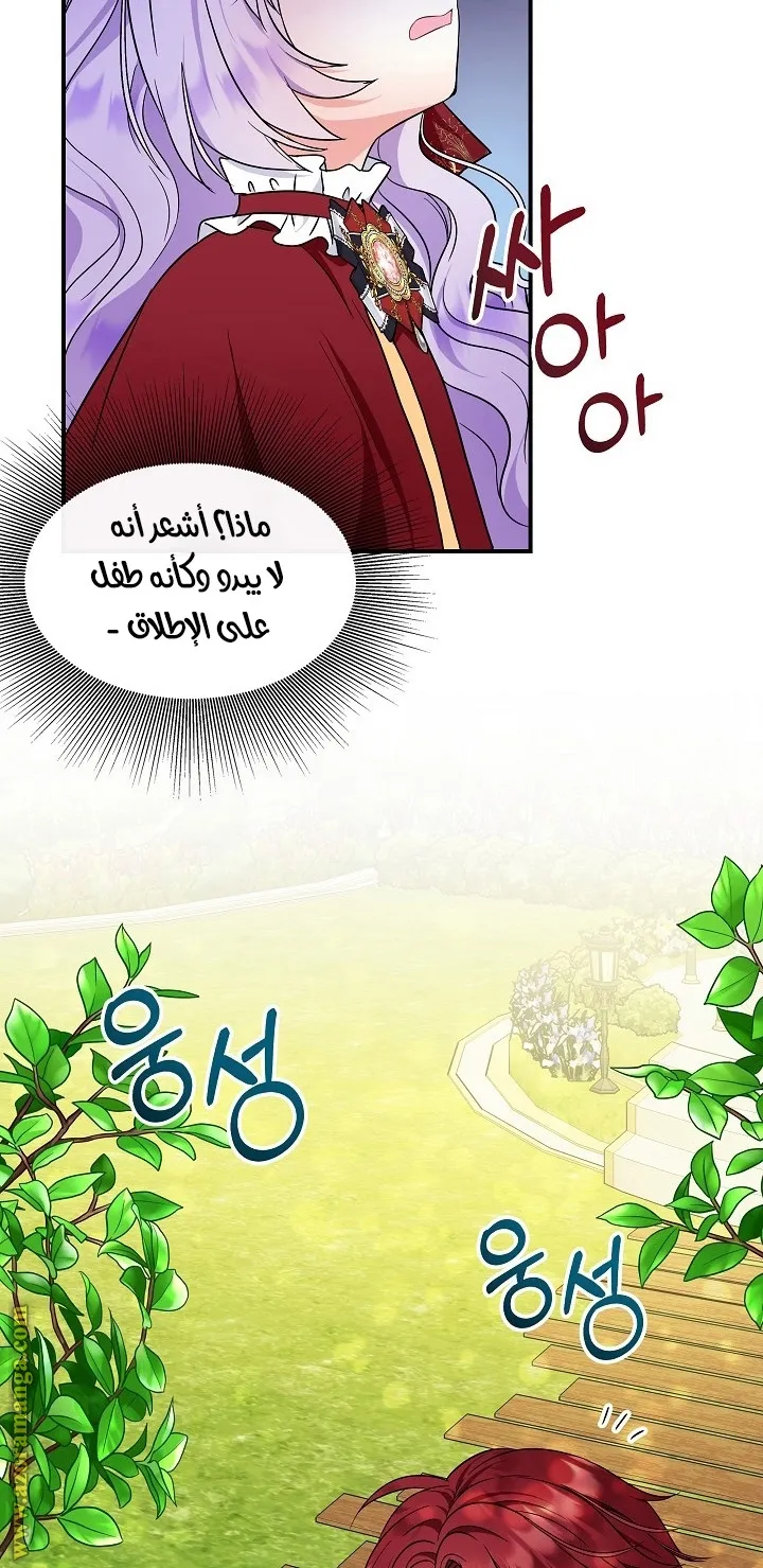 الصفحة 46