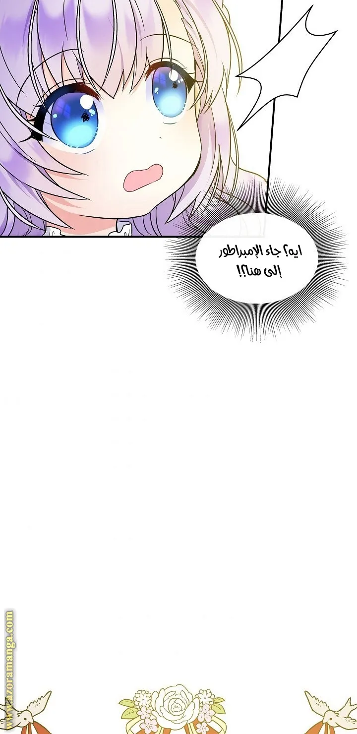 الصفحة 48