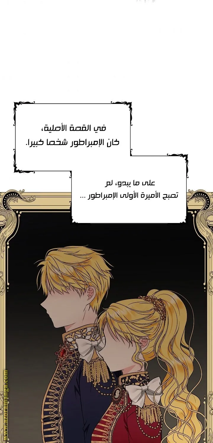 الصفحة 55
