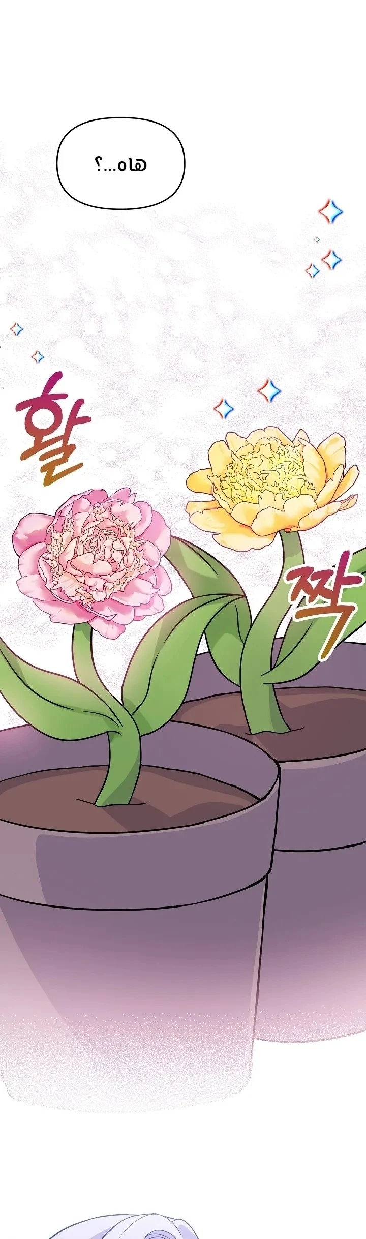 الصفحة 24