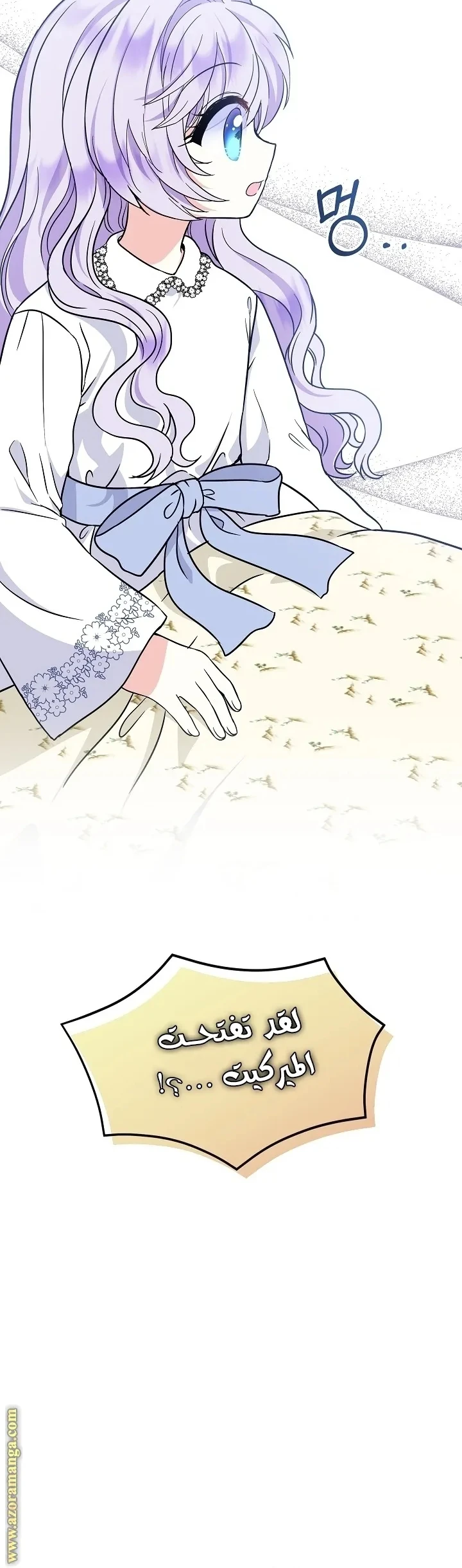 الصفحة 25