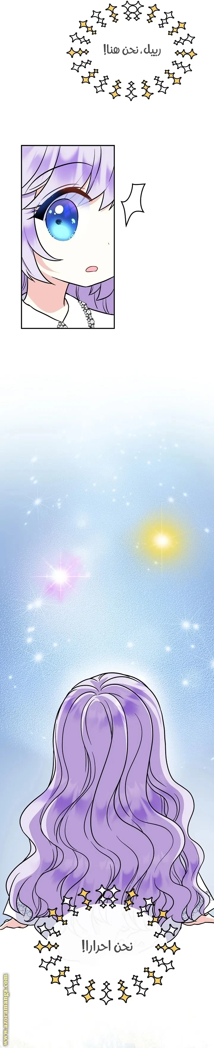 الصفحة 26