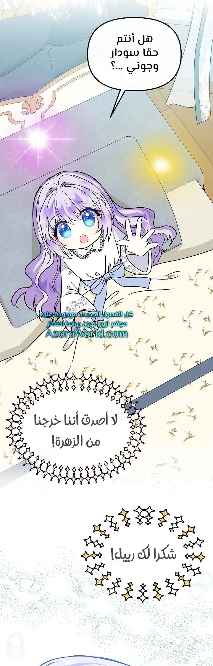 الصفحة 27