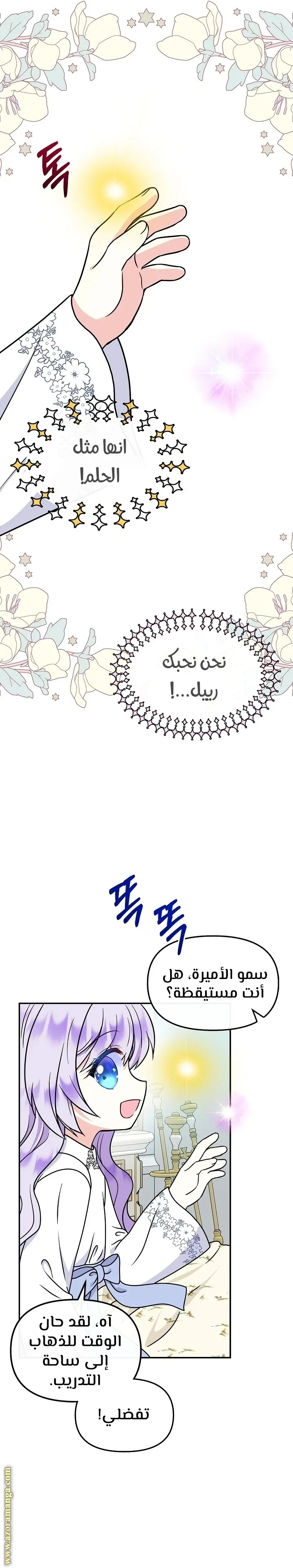 الصفحة 29