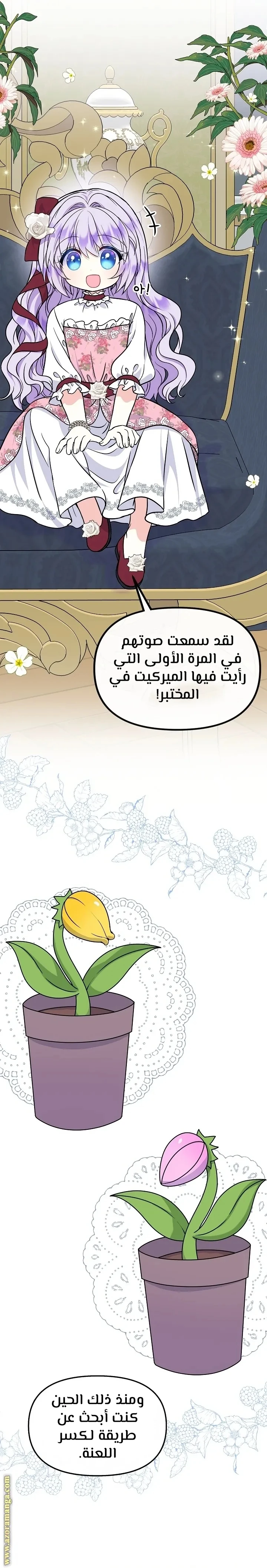 الصفحة 39