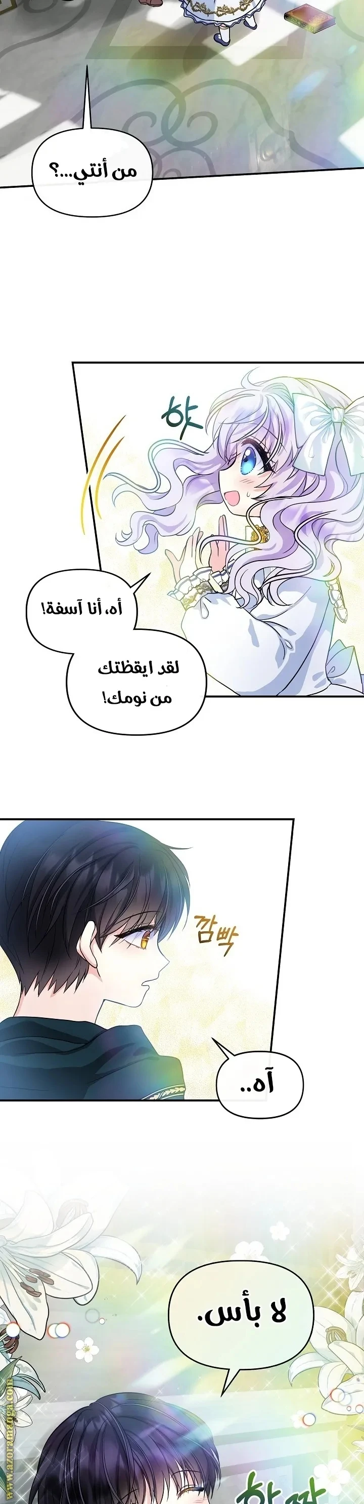 الصفحة 19