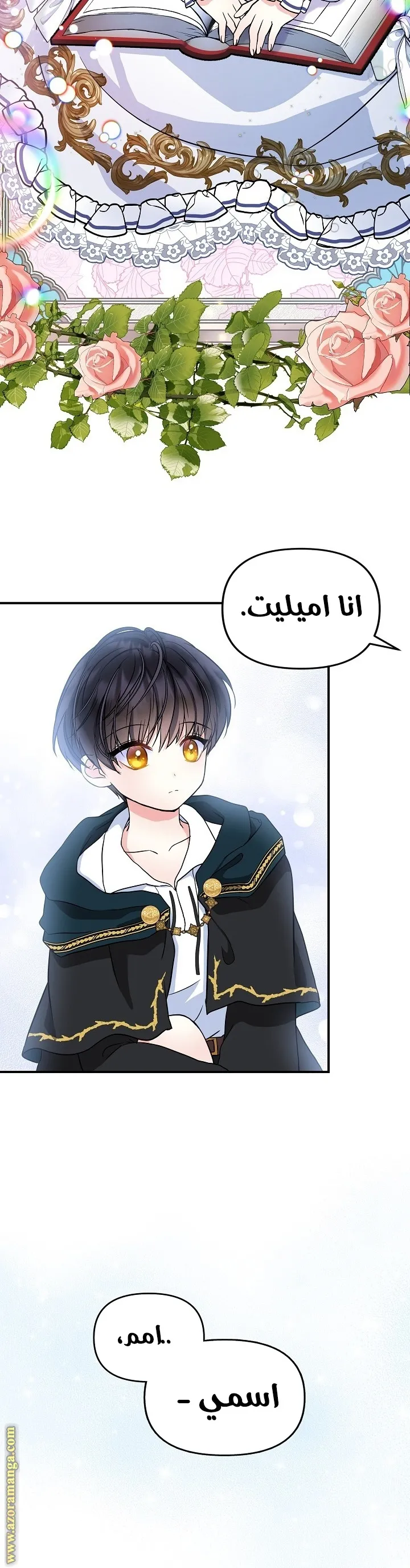 الصفحة 24