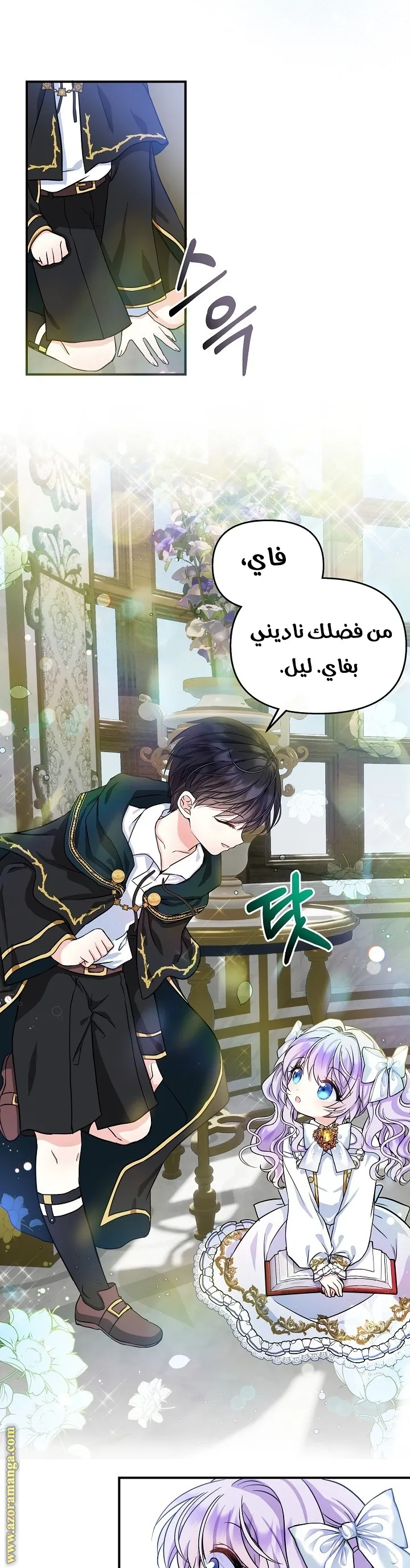 الصفحة 25