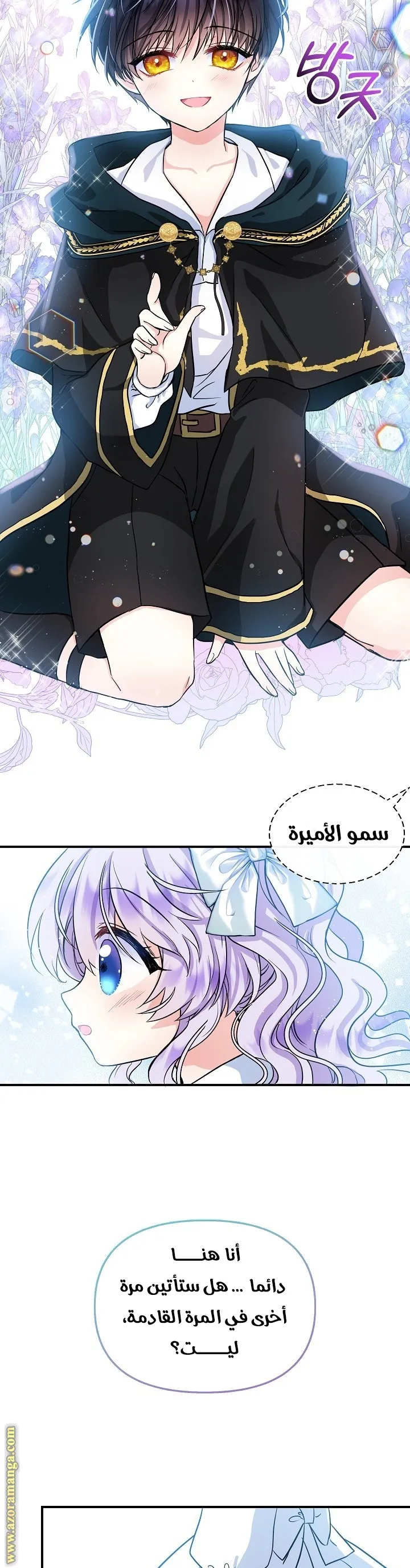 الصفحة 29