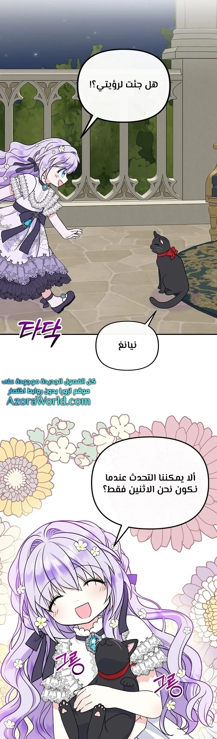 الصفحة 24