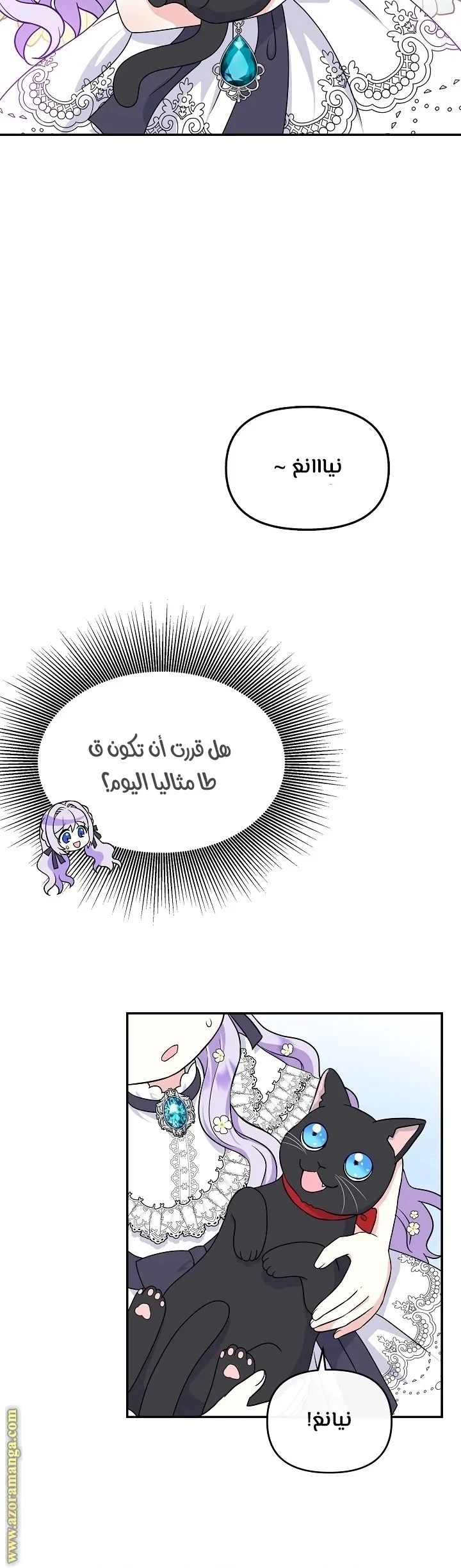 الصفحة 25