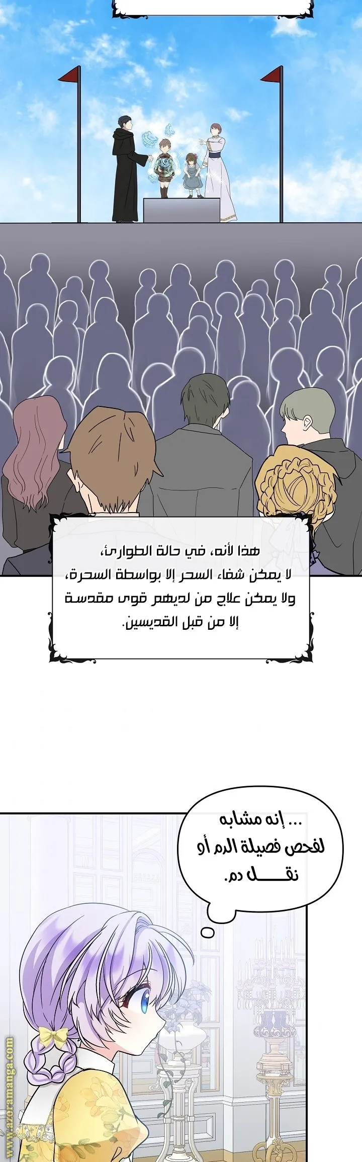 الصفحة 29