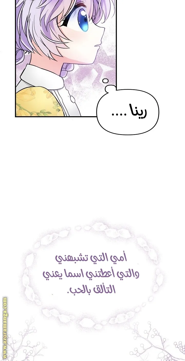 الصفحة 32
