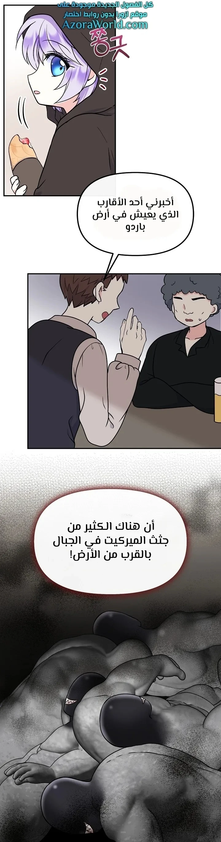 الصفحة 16