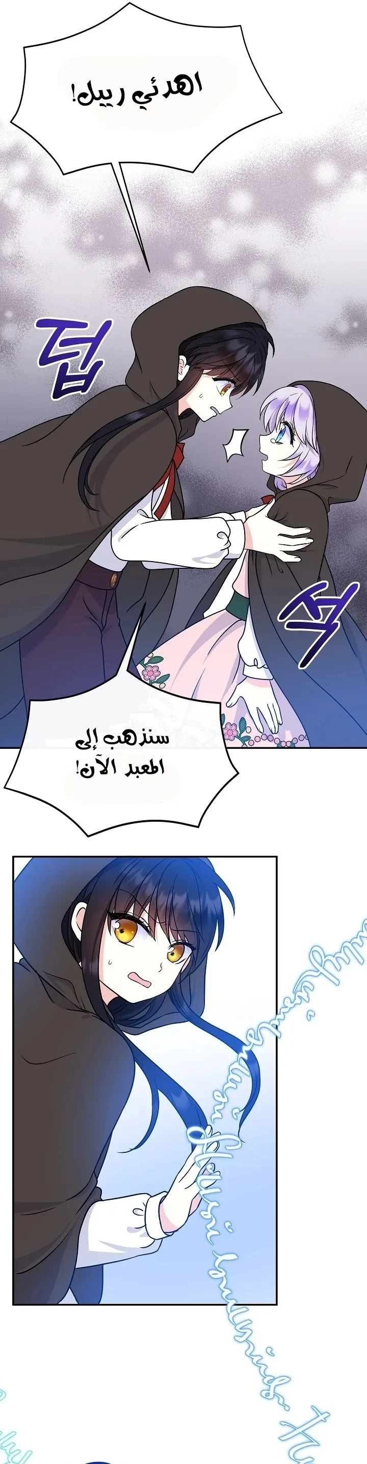 الصفحة 25