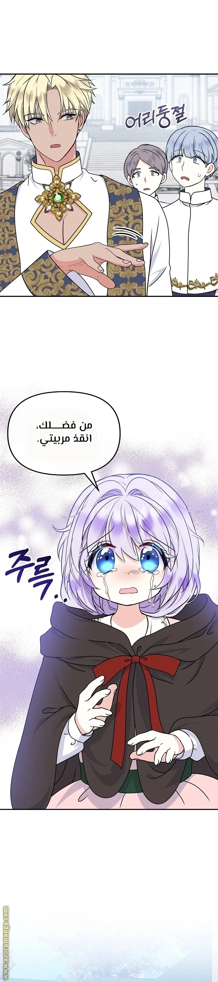 الصفحة 29
